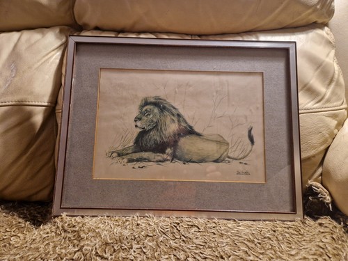 Lion joel kirk - lion,
