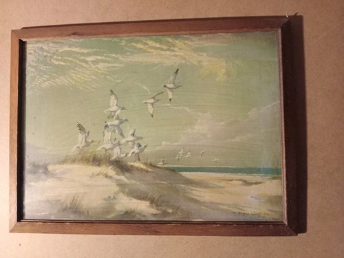 Vernon ward seagulls - ward,