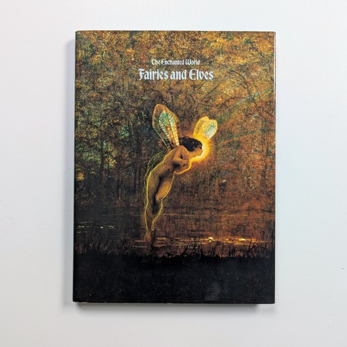 The enchanted world - the,