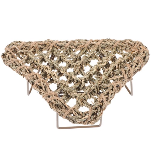 Reptile lizard lounger - reptile,