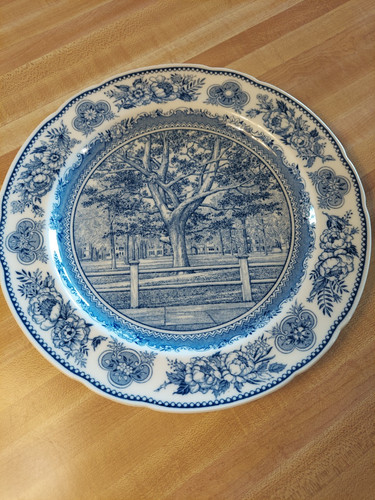 Authentic 1931 wedgwood dinner - authentic,