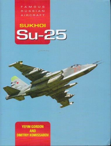 Famous russian aircraft sukhoi - russian,