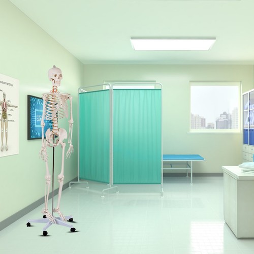 180 life size human - life,