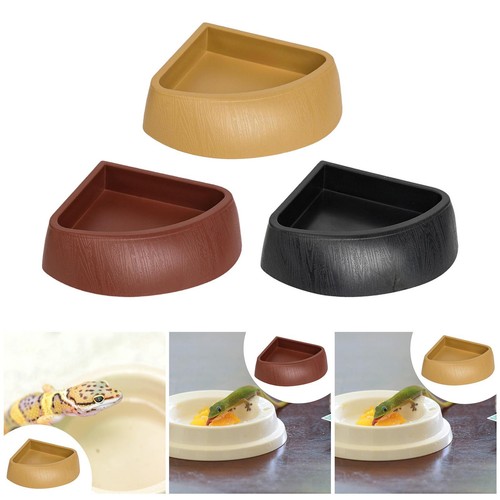 Reptile feeding dish corner - reptile,