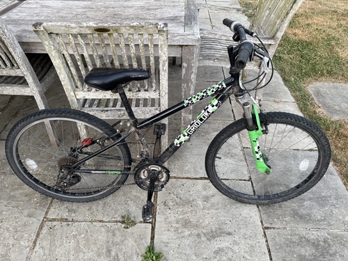 Children mountain bike - children’s,