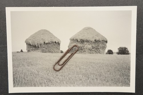 Photo view agriculture farm - photo,
