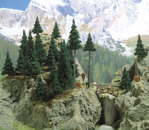 Forest set fir trees - fir,