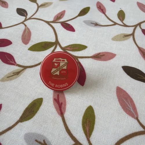 Swindon town pin - town,
