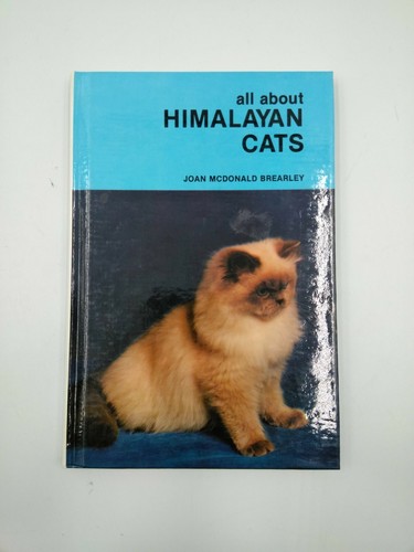All about himalayan cats - about,