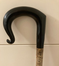 Lovely Buffalo Horn crook