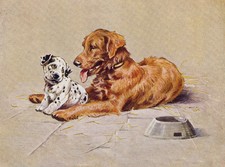 GOLDEN RETRIEVER CHARMING DOG