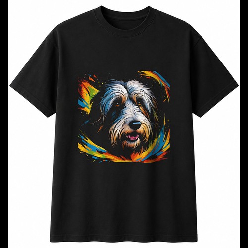 Detailed bearded collie - collie, torn