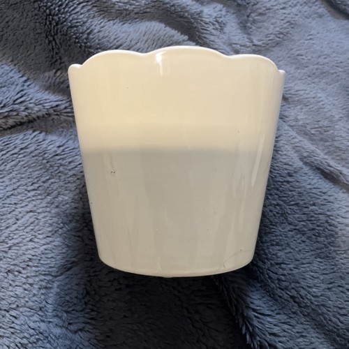 Cream ceramic plant - cream,