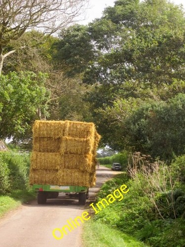 Photo 6x4 straw trailer green - trailer,,