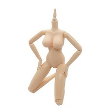 Obitsu Doll 27cm Female body