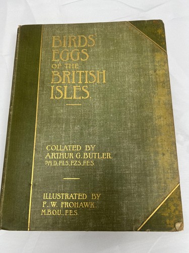 Birds eggs the british - of,