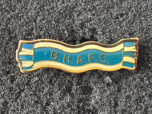 Brighton hove albion - hove,