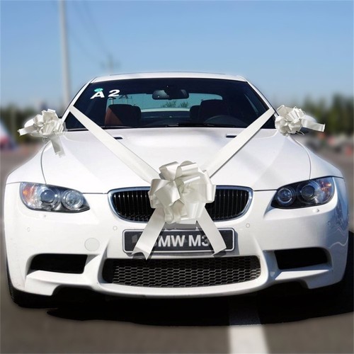 Wedding car decoration - wedding,