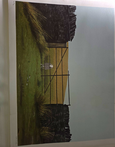 Peter brook numbered - peter, ap