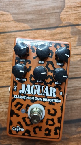 Caline 510 jaguar - caline,
