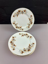 6 x Mayfair China Autumn