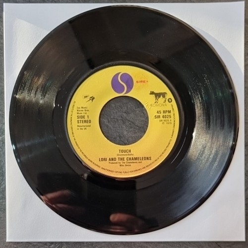 Lori and the chameleons - lori,