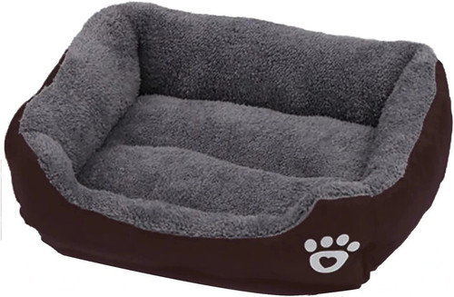Bunty cat dog - cat, brown