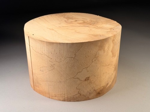 Amazing very large spalted - large,