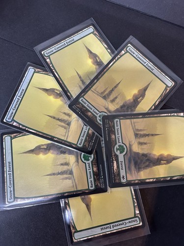 Set mtg snow covered - x,