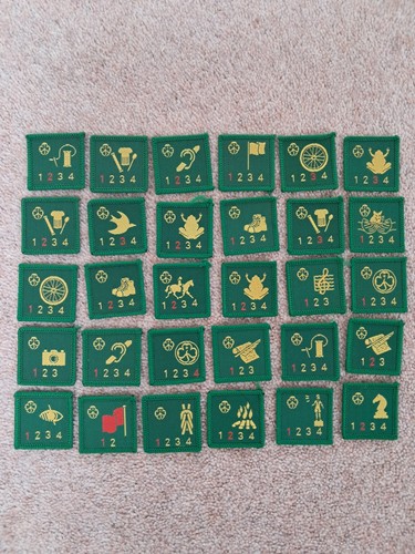 Girl guides brownies - girl, /