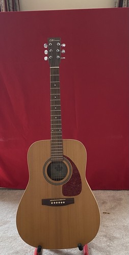 Norman acoustic guitar b20 - acoustic,