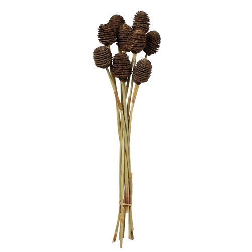 Vickerman natl brown - vickerman, 18-24"