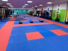 40mm JIGSAW MATS Martial Arts 1m2 Red/Blue Karate TKD Yoga Judo BJJ