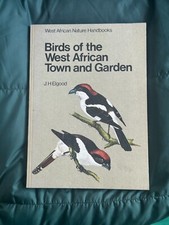 Birda of the West Africa Town