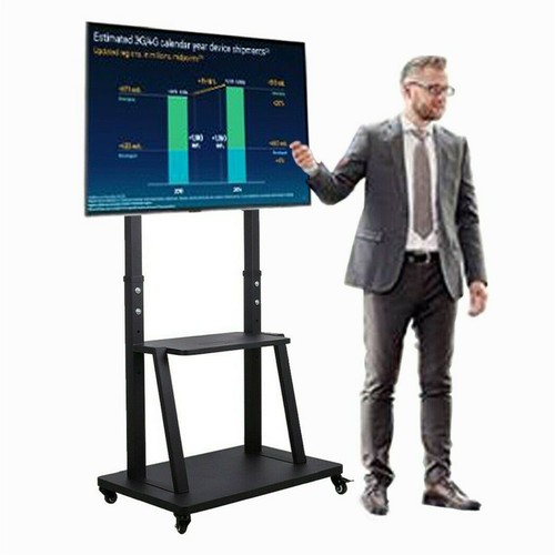 Super large floor - tv, stand