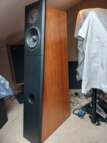 Audio physic tempo pair of - tempo,