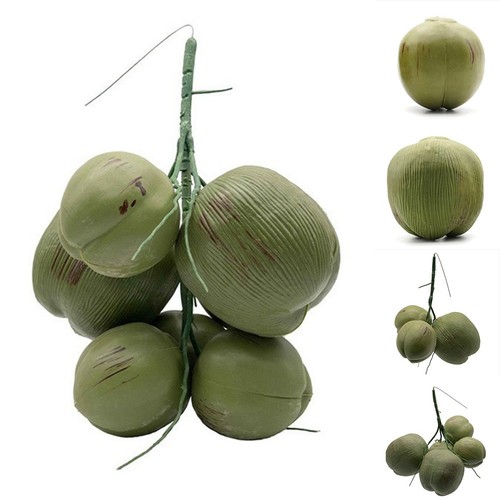 Charming fake coconuts - fake,