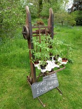 Amazing Vintage Sack Truck Display Stand.Shop Pub Film Prop  