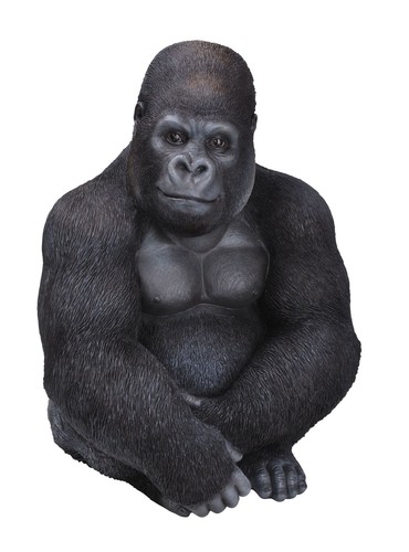 Gorilla sitting silverback - gorilla,