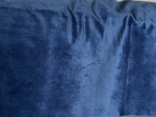 Blue velvet w142cms cms - velvet,