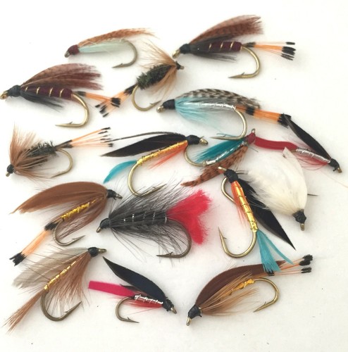 Fly fishing - fishing,