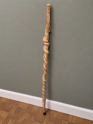 Rustic twisted vine - twisted, walking