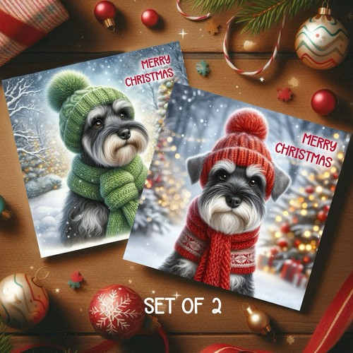 Miniature schnauzer dog - miniature,