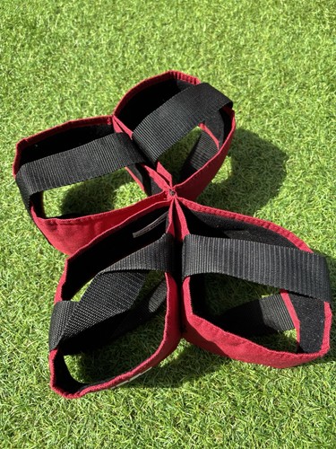 Red drakes pride bowls - bowls, carrier