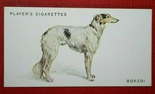 BORZOI  Vintage 1931 Dog Card