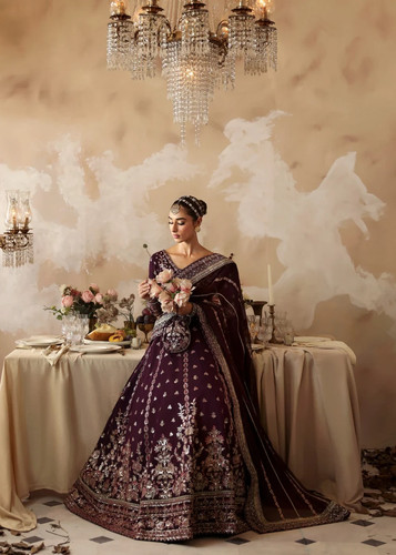Wedding party wear pakistani - party,