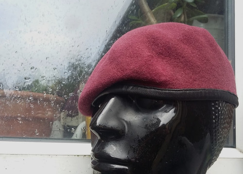 Royal logistics corps rlc 13th - royal,