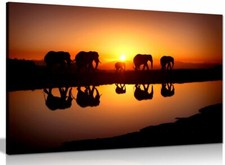 African Sunset Elephants