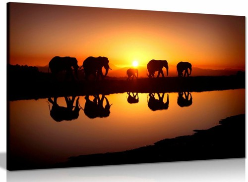 African sunset elephants - african,