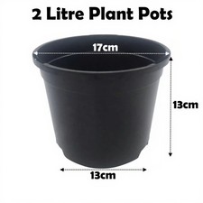 2 Litre Black Plant Pots
